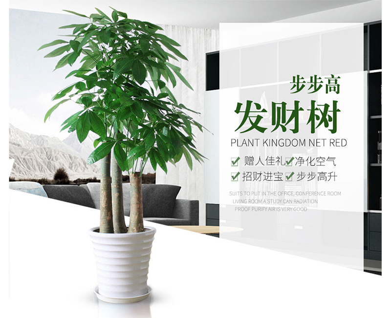 步步高大三桿發(fā)財(cái)